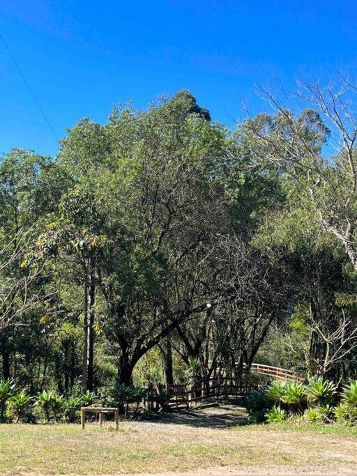 Casa De Campo Com Piscina A 2 Min De Cunha Eksteriør billede
